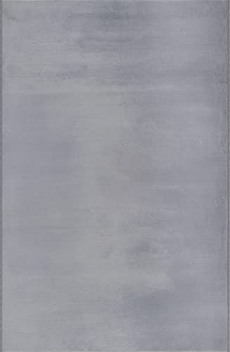Mia´s Teppiche Luna kuschelig Warmer Fellteppich, weich und elegant, waschbar und Fußbodenheizung geeignet, Öko-Tex Zertifiziert, Hellgrau, 120 x 170 cm