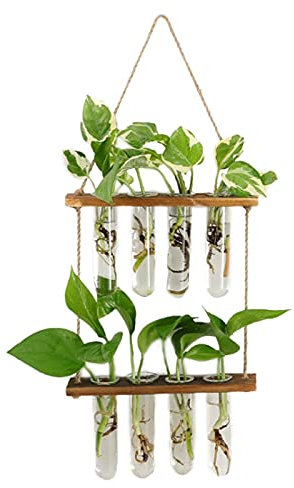 WERTSWF Macetas de cristal para colgar en la pared, estación de propagación, terrario de plantas hidropónicas con marco de madera, tubos de ensayo, jarrón para esquejes y brotes