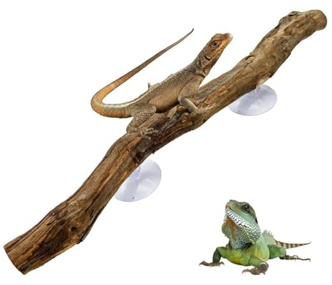 Climbing Branch - Unique Reptile Decor, Natural Wood Accessories | Enhances Snake Tank Habitat, Providing Enrichment and Comfort, Ideal for Bearded Dragons, Geckos, Frogs, Chameleons and Spiders
