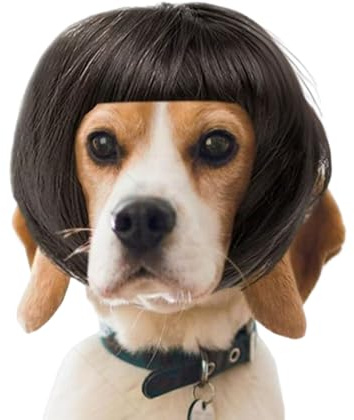 usefulbeauty Perücken für Hunde, Zubehör für Kopf, verstellbar, mit Fransen, Perücken für Cosplay | für Halloween, Weihnachten, Party, Urlaub, Alltag, lässig