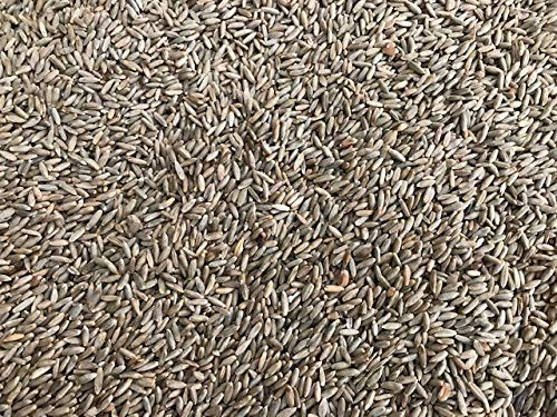 Heinrichs Agrar 25 kg Roggen Brotroggen Futterroggen Fischfutter Regional Rheinhessen aus der Layenmühle