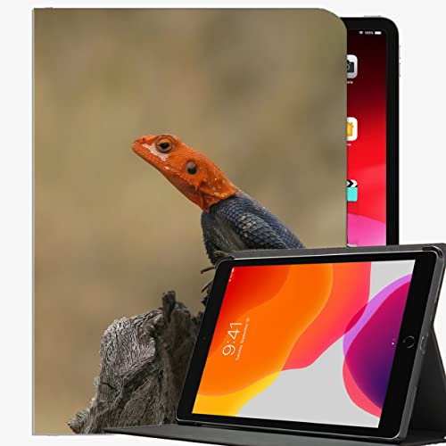 Für iPad Pro 12,9 cl