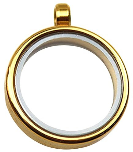 DIYEAH Edelstahl Halskette Mit Runden Foto-charm-anhänger Und Medaillon-anhänger Für Schmuckherstellung Inklusive Anhänger-lünetten-tabletts Aus Glas