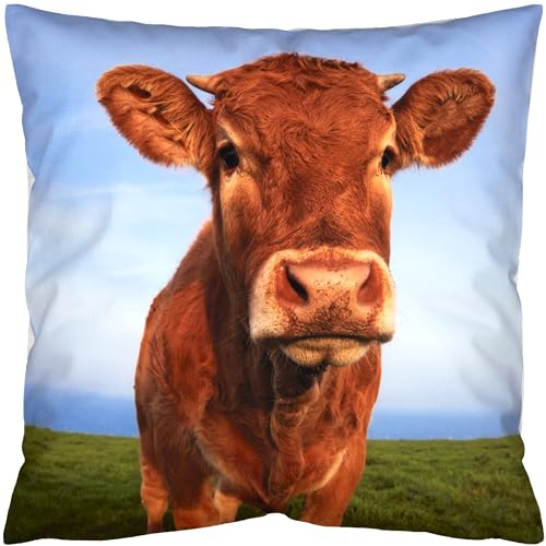 Espamira Kissenhülle 40x40 Kühe Dekokissen Bauernhof Kissenbezug Landhaus Deko Kissen Hülle Quadratisch Stoff Reißverschluss Weich (5289)