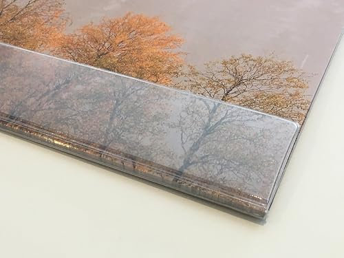 Schreibtischunterlage Nebelwald aus Papier | 25 Blatt DIN A2 | optional mit transparenter Schutzleiste | mit extra Kalenderblatt (mit transparenter Schutzleiste)