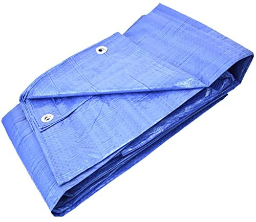 GARDENIX Bâche de Protection Multi-usages Bleu 60 g/m² (6 m x 10 m)