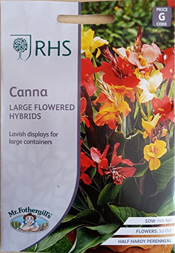 Mr Fothergill's RHS Canna Indica Large Flowered Hybrids