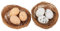 VBS Dekonester mit Oster-Eier Sumy 2 Stück Braun Weiß 6x2cm je 3 Eier
