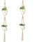 CENPEK 2 Pack 150CM Macrame Plant Double Hangers, Hanging Planter Baskets Hanger with Tassels Flower Pot Holder Cotton Rope