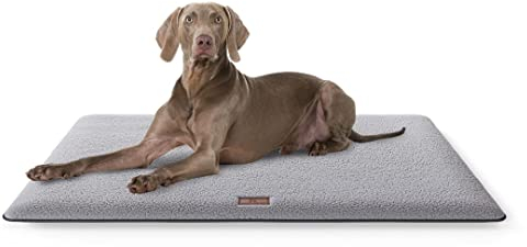 Knuffelwuff kuschelige Hundematte Calliope aus Teddy Material 100x70cm Grau - Hundekissen für große, mittelgroße und kleine Hunde - Für Zuhause, Auto, Wohnmobil, Wohnwagen