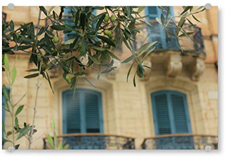 artboxONE Acrylglasbild 120x80 cm Natur Malta Oliven - Bild olivenbaum Architektur blauefensterläden