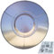 SLOOG Réflecteur de Chauffage extérieur pour Les pièces de Rechange de Chauffage de terrasse-Propane pour Patio pour Les parasols de Patio, Chauffe-Patio Propane pour Usage extérieur