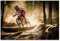 LBMED Leinwand Druck Poster Downhill Bike Sporter Retro Art Poster Ölgemälde für Veranda Dekor Wandkunst Kunstwerk Malerei Kunstdrucke Bild 15.7x23.6(40x60cm) Kein Rahmen