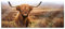 Pixxprint Glasbild Panorama, Wandbild aus Echtglas, Highland Rind mit großen Hörnern Steppe, 120x50 cm, inkl. Aufhängung und Abstandshalter