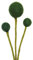 your castle Filzblumen handgemachte Dekoblumen für individuelle Kreationen, nachhaltiges Geschenk, fairer Handel, realistische Kunstblumen, 3 Stück in Dunkelgrün