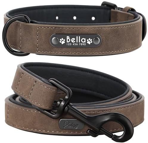 Didog Soft PU Leather Padded Custom Dog Collar with Personalized Nameplate and D Ring, Engraved Dog Collars for Small Medium Large Dogs (S: width 1.7cm,neck 25-31cm, Brown Set)