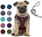 Hundegeschirr Set mit Leine für kleine Hunde - Brustgeschirr ausbruchsicheres Katzengeschirr Welpengeschirr Step-In Geschirr für kleine Hunde, Welpen, Katzen M Rot