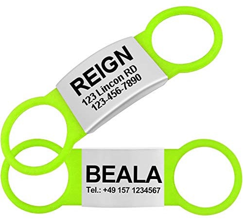 TagME 2er Pack Hundemarke/Hundemarke mit Gravur für Hunde für Kleine und Mittelgroße Hunderassen, Personalisierbar, Grün, XL