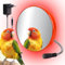 Svauoumu Chauffage de Cage d'oiseau, Chauffage de Cage d'oiseau avec Miroir, Chauffage d'oiseau thermostatique, Chauffage de Cage d'oiseau 18w, Chauffage de Perruche, Perroquet Gris