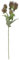 2474U Kunst-Stielblume Edeldistel Distelfrucht grün-lila ca. 45 cm