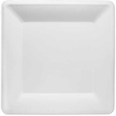 wisefood Zuckerrohr Teller - 400 Stück Bagasse Einwegteller quadratisch 20cm - Einmal Pappteller ideal als Partyteller oder Speiseteller - Nachhaltiges Zuckerrohr Geschirr ohne PLA/PE