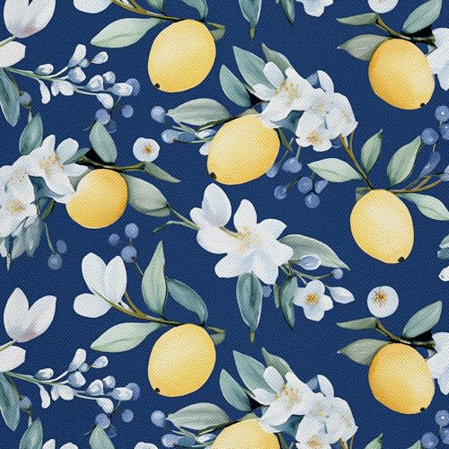 HEKO PANELS Stoff Oxford Wasserdichte Meterware Canvas-Stoff Polyester Nähstoff Dekostoffe Handwerken Wasserabweisend Blickdicht Zitronen Obst Aquarell Wasserfarbe 3 Meter 155 x 300 cm DX2258