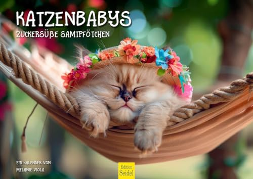 Edition Seidel Premium Kalender Katzenbabys 2026 Format DIN A4 Wandkalender Katzenkalender Haustiere Kätzchen Katze Kater Kitten Melanie Viola