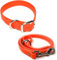 Regal Dog Products Hundehalsband Biothane Wasserfest mit 1,5m Leine für Kleine, Mittelgroße, Große Hunde (Orange) – mit D-Ring mit Auffälliger Farbe - für Welpen, Mittelgrosse & Grosse Hunde