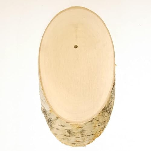 Birke Schild Trophäenschild Geweih REH Baumscheibe Baumschild AF 18cm
