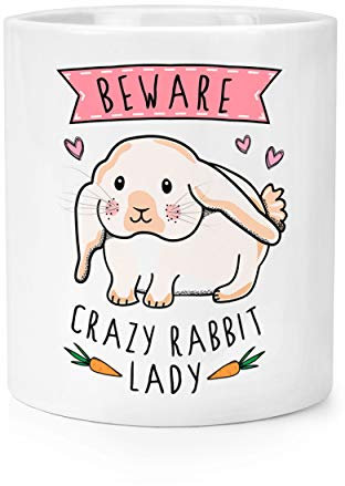 Attention Fou Lapin Femme Maquillage Pinceaux Crayon Pot