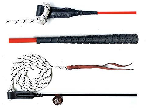 JA Horse Bâton de contact pour cheval avec corde pour l'entraînement au sol - 100/120 cm - Bâton d'équitation - Cravache longée - Bâton de carotte - Bâton de cheval - Bâton de carotte (120 cm, rouge)