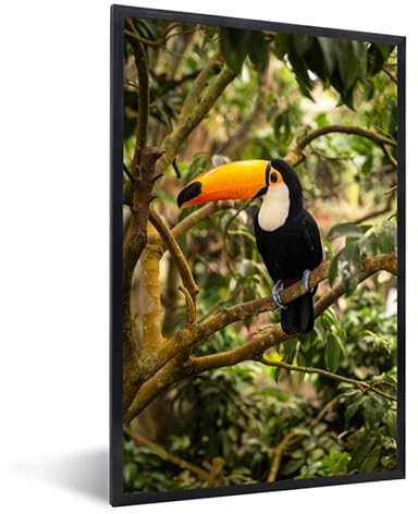 MuchoWow Poster Bilder Wanddeko Deko Wohnzimmer 60x90 cm Vogel - Tukan - Dschungel - Natur - Tropisch