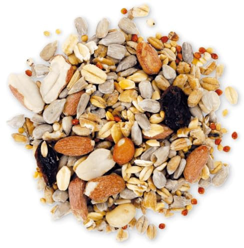 Agrarshop Schalenlos Eco 25 kg Vogelfutter Ganzjahresfutter Gartenvögel