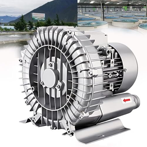 WEICNE Souffleur À Anneau Vortex Monophasé, Souffleur Régénératif, Pompe À Air Électrique, Souffleur Annulaire, pour Aquarium Hydroponique, Bassin, Aérateurs De Fosses Septiques,180W