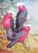 5D-Diamant-Malerei-Set zum Selbermachen für Erwachsene und Kinder, Vollbohrer, Mitchell's Kakadu Kristall Basteln, Heimdekoration oder Geschenke (60 x 40 cm)
