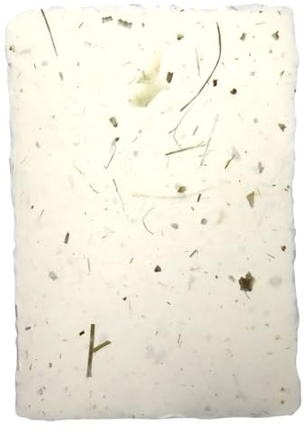 Netuno 5x Büttenpapier Zwiebel mit Gras DIN A4 20,5x29 cm handgeschöpft | 180-210g einzigartiges naturfarbenes handgemachtes Blütenpapier für Einladungen, Papeterie & Basteln