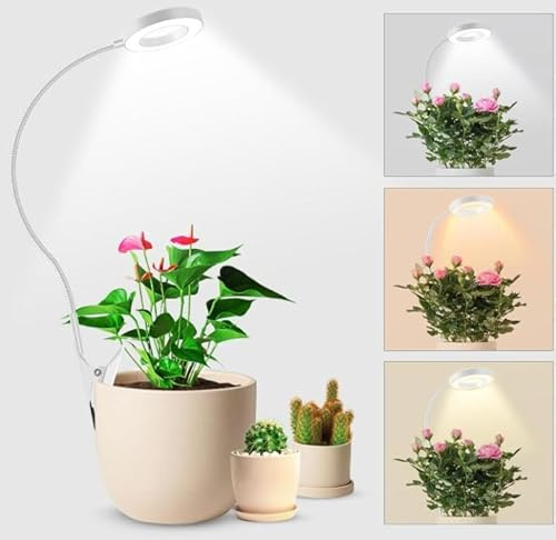 JUMRHFAN LED Pflanzenlampe mit Klemme, 3 Farbmodi, 3/9/12H Timer, 10 dimmbare Stufen, Ideal für Zimmerpflanzen, Sukkulenten & Hydrokultur -EU-Stecker (Weiß)