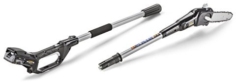 Alpina Akku-Hochentaster APS 24 B (Teleskop-Säge, Schwertlänge 20 cm, 70 cm Verlängerung, inklusive Akku und Ladegerät)