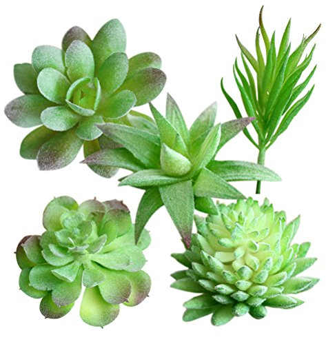 WINOMO Lot de 5 mini plantes vertes artificielles - Fausses plantes grasses, vertes, succulentes et cactus Pour bureau, maison, table, jardin, décoration