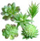 WINOMO Lot de 5 mini plantes vertes artificielles - Fausses plantes grasses, vertes, succulentes et cactus Pour bureau, maison, table, jardin, décoration