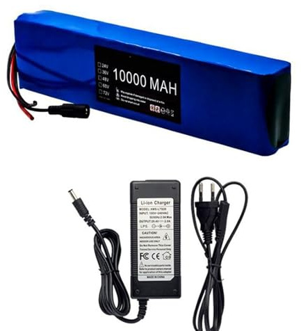 24V 10Ah 7S4P Vélo Électrique Scooter Batterie Batterie de E-Bike Battery Batterie Trottinette Électrique for 200W 350W 400W 500W with Built in BMS and Charger 24V 10Ah,Bullet+SM