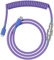 Glorious Gaming Câble de clavier spiralé Premium - Prise plaquée or USB-A (PC) à USB-C (clavier), anti-emmêlement, manchon double tressage, connexion intermédiaire aviation à 5 broches - Nebula
