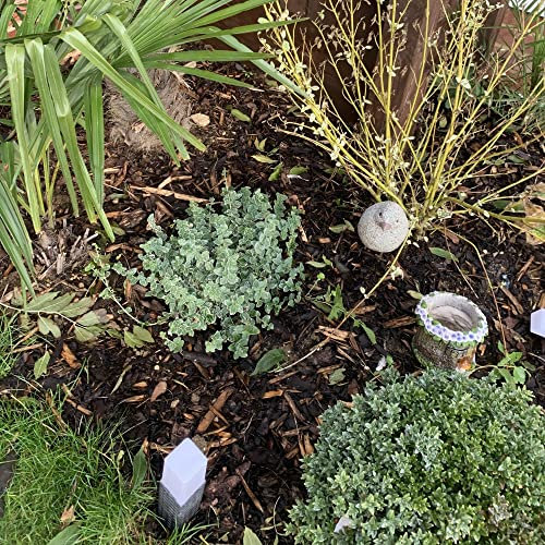 Suttons Decorative Chip Bark Ground Cover for Flowerbeds Borders and Containers 80 Litre bale Add a professional Touch to your home Garden (2 x 80Litre bag)
