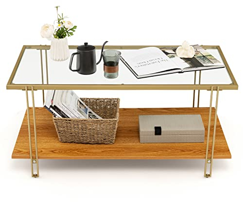GOPLUS Couchtisch, Wohnzimmertisch mit 2 Ebenen, Gehärtetes Glas, Metallrahmen, Verstellbare Füße, Offenes Design, Off-Ground Konstruktion, Leicht zu Pflegen, Kaffeetisch für Wohnzimmer Büro