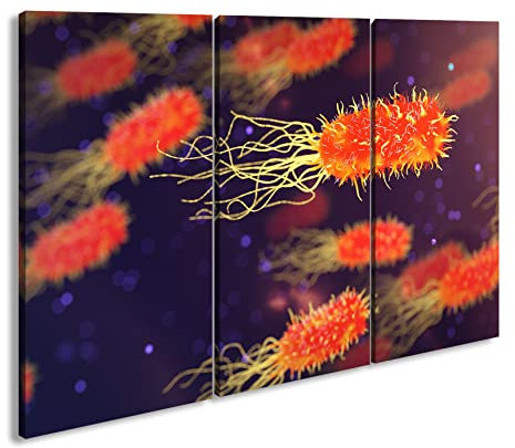 Leinwandbild Blick durch das Mikroskop – Welt der Bakterien Format: 120x80cm (3Teilig) XXL Kunstdruck Bild auf Holzrahmen/Wandbild/Wohnzimmer Dekoration