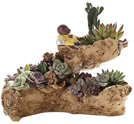 Cabilock Pot De Cactus Succulent Sculpture en Pot De Plantes Sculpture en Bois Flotté Cache-Pot en Bois Flotté Centres De Table Porte-Sculpture Pots De Fleurs en Résine Intérieur Support