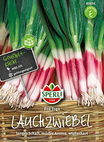 83656 Sperli Premium Lauchzwiebel Red Toga| Mild | Würzig | Zartrosa | Lauchzwiebel Saatgut | Lauch Samen | Frühlingszwiebel