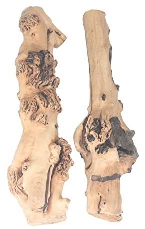 emours Reptile Décor Natural Forest Branch Terrarium Wood Aquarium Ornament (1.6-2.4inch(Pack of 2))