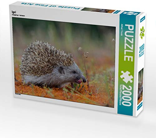 CALVENDO Puzzle Igel 2000 Teile Lege-Größe 90 x 67 cm Foto-Puzzle Bild von Alfred Trunk
