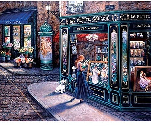 Zdklfm69 Malen nach Zahlen Ölgemälde nach Zahlen Mädchen-Ölfarben-Zeichnung für Erwachsene Färbung Gemälde nach Nummer Home Wall Art Decortion (Kein Rahmen) 40x50cm